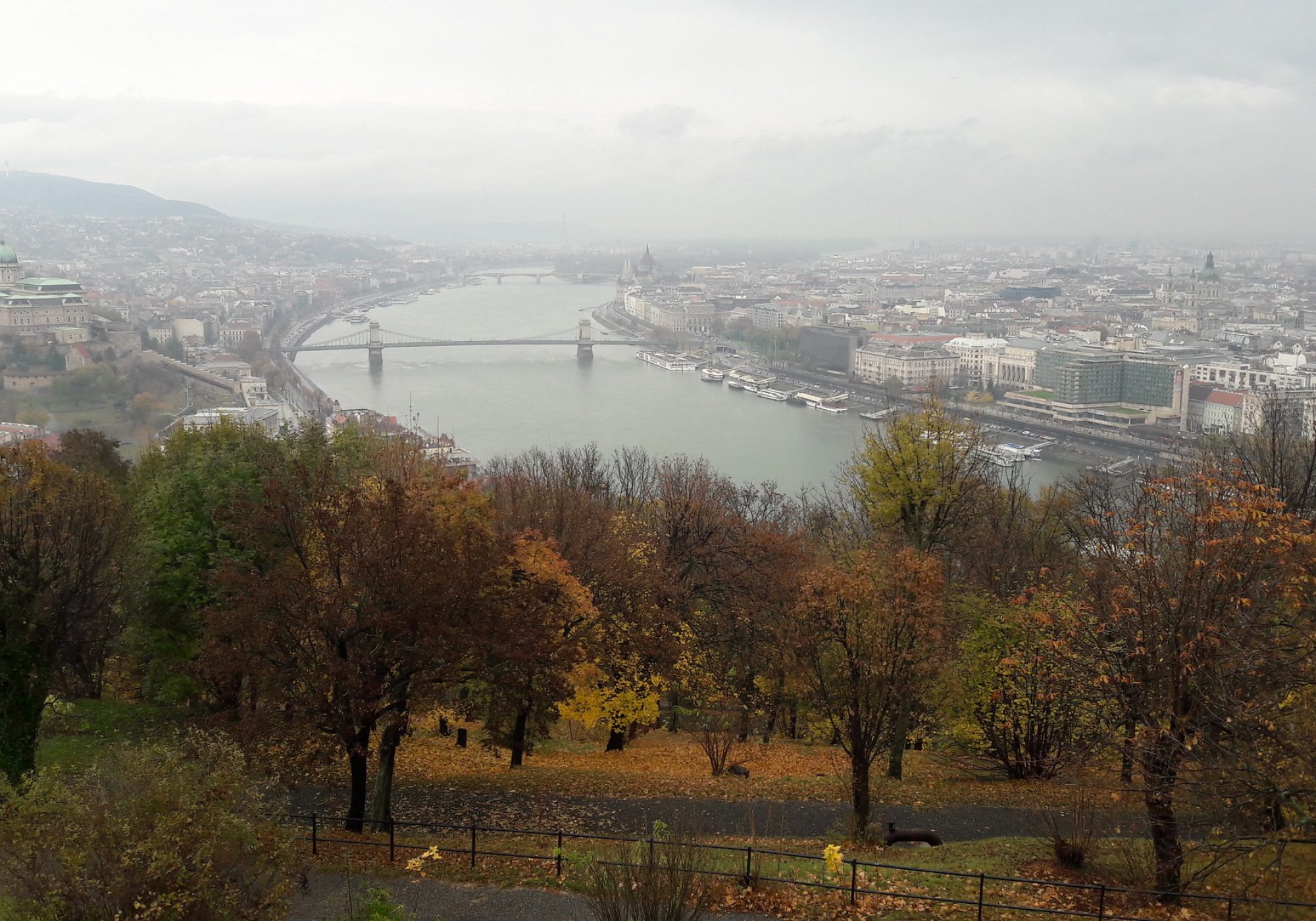 20161106_120702
